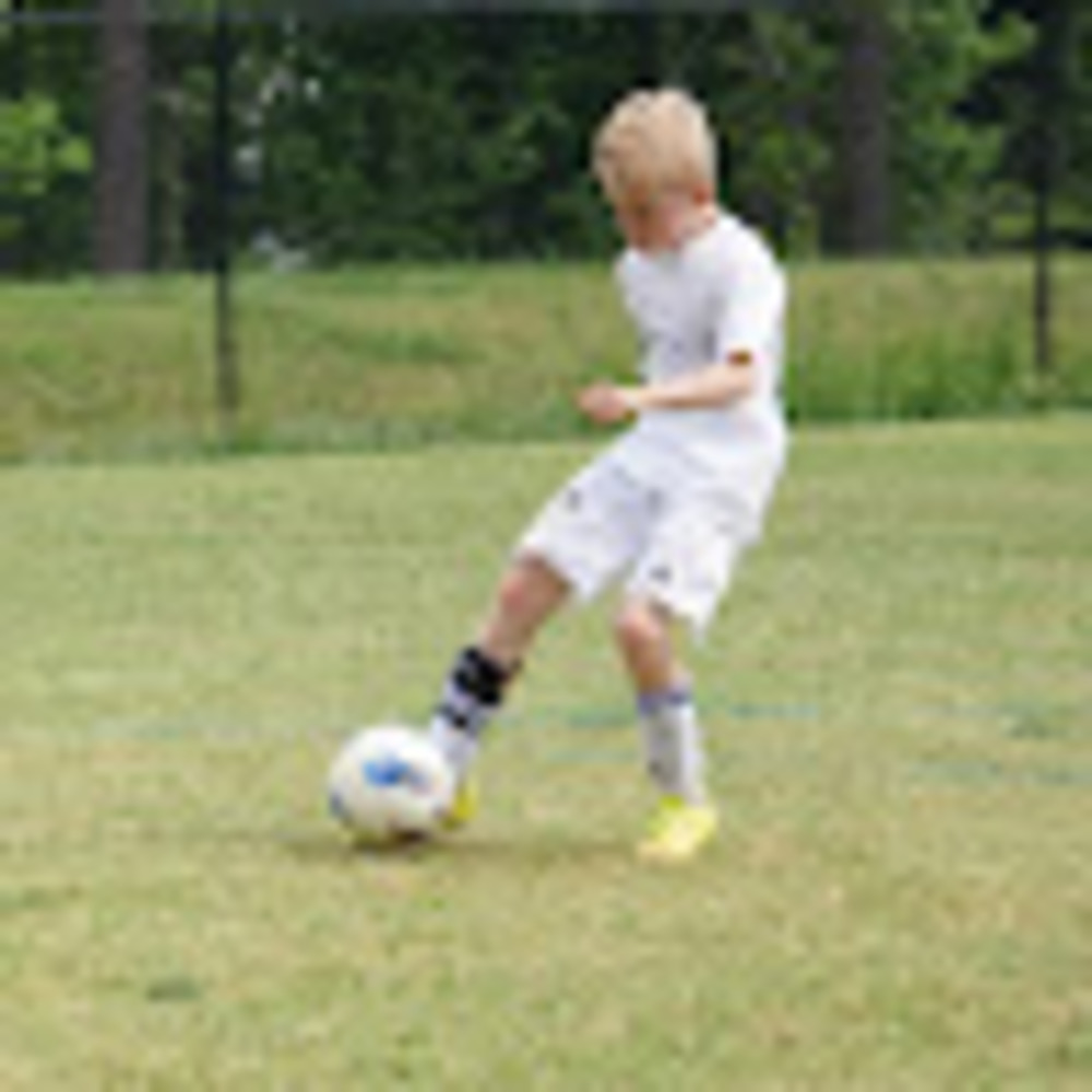 Meet your Posher, Wyatt